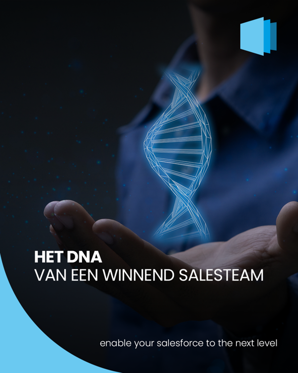 De Bouwstenen Van Teamkracht